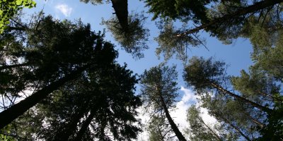 Skolu konkursu uzvarētāju sumināšana