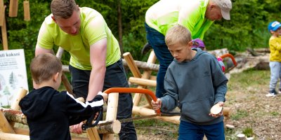 Kokmateriālu uzmērīšana